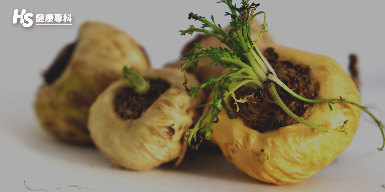 Maca Benefits for All Genders Experts Guide on Usage and Dosage