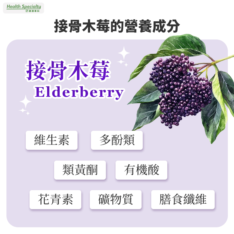 接骨木莓成分