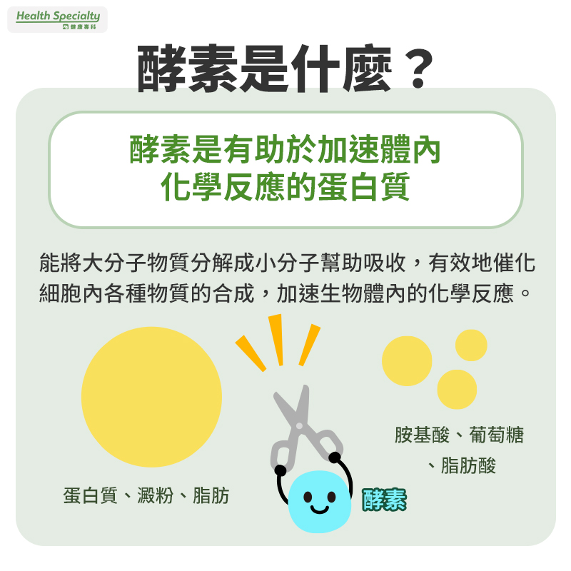 酵素是什麼