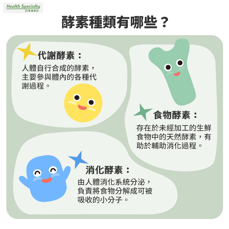 酵素種類