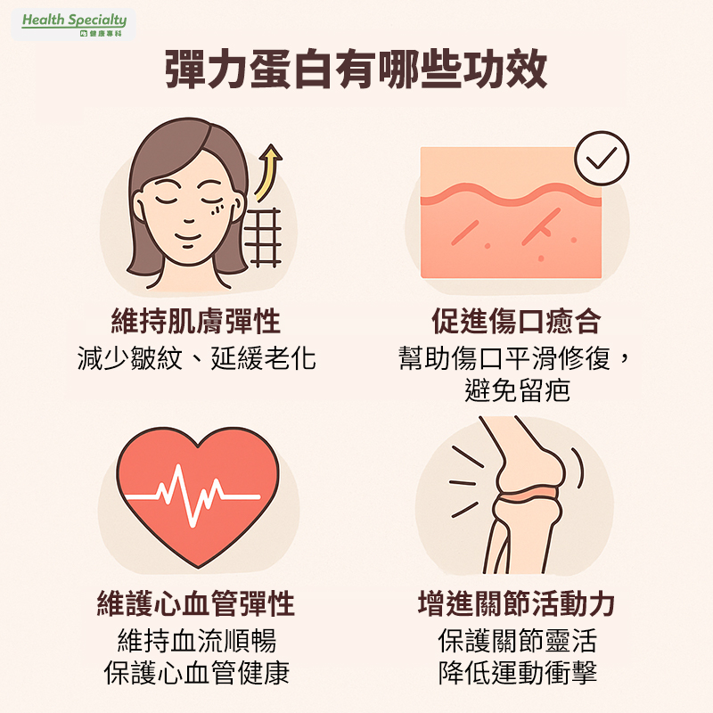 彈力蛋白功效