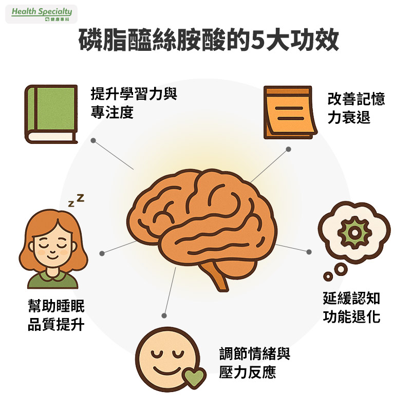 磷脂醯絲胺酸功效