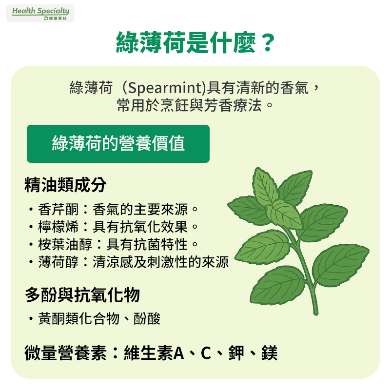 綠薄荷是什麼