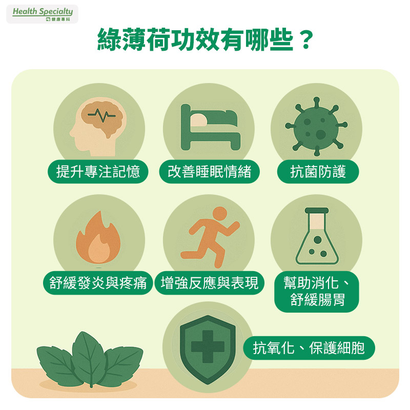 綠薄荷功效